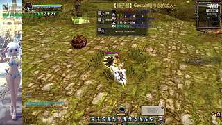 【锤子服】Gestalt~DN之旅