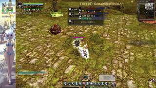 【锤子服】Gestalt~DN之旅