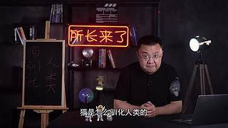 把大脑切成两半会怎样？有趣的裂脑实验