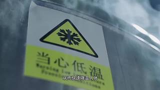 把大脑切成两半会怎样？有趣的裂脑实验