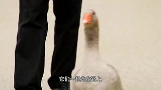 【所长来了】打开宇宙的未知