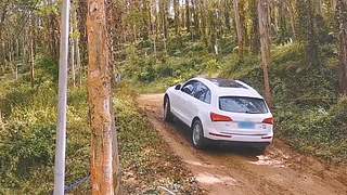 碰撞指南的直播间