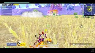 带人上分啊啊啊