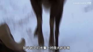 哈喽，全球未解之谜来咯