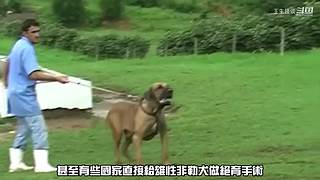 王生怪谈奇闻怪事