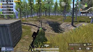 广东女孩，和平王者一起狂欢