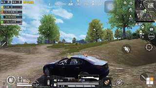 广东女孩，和平王者一起狂欢