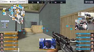 世界赛白鲨加油