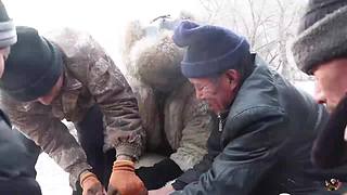 来来嗨嗨嗨
来来来