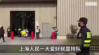 硬核时事评论家