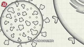 科工力量的直播间