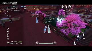 绿野仙踪吖的游戏直播间