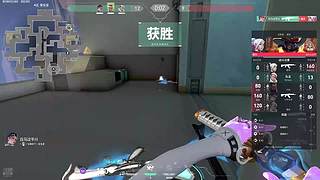 嘻嘻嘻嘻细 9802992