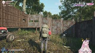 【小奶团】恭喜老派升级31级牌牌~