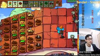 β版植物大战僵尸