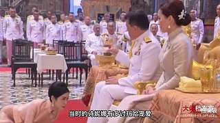 每天一个大佬传奇