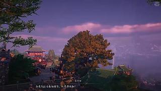 萌新主播，球关注