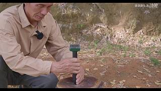 娱乐大于一切 10440627