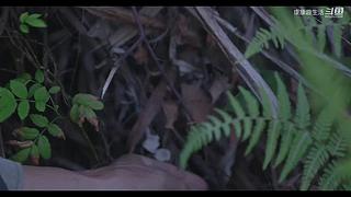 娱乐大于一切 10440627