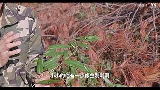 娱乐大于一切 10440627