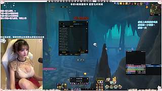 「hi」家宅系统？宝宝你好，防护圣骑士