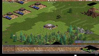 展翅的天鹰 10662565