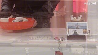 喜欢我的视频或想和我玩，请关注，打赏我哟