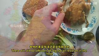 喜欢我的视频或想和我玩，请关注，打赏我哟