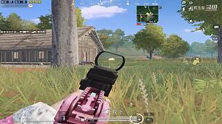 月殿玉兔直播间