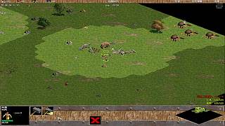 三毛锅来了的直播间