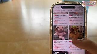 【非常互娱】十二月开心宝贝