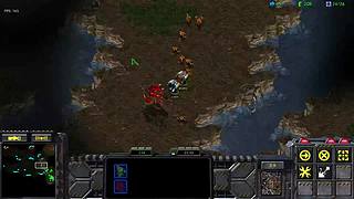 菜鸡茫茫多的直播间