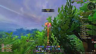 黑色沙漠.散华.找老板