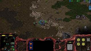 御弟哥哥星际直播