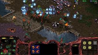 御弟哥哥星际直播