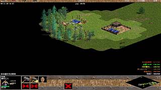 海鸟海运的直播间