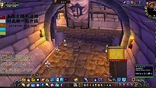 宠物对战锦标赛！梦之队组合策略分享