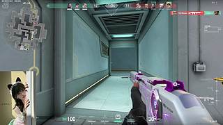 葱鸡炒饭  11831478