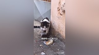 星球大战前线2玩玩看。