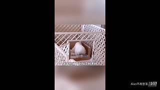 星球大战前线2玩玩看。