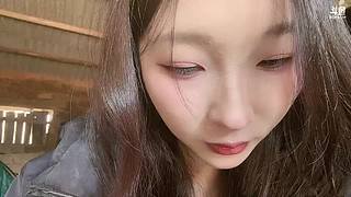 茶美人的荒岛求生