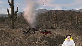 直播中：新游 小宇 单机热游