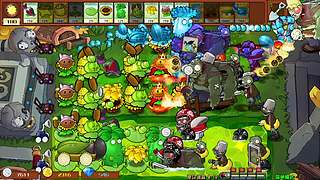 新人第N天直播 12504141