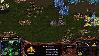 Li353310的直播间