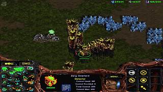 Li353310的直播间