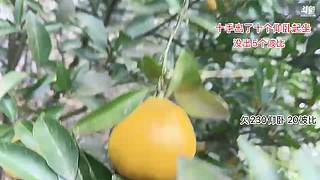 【非常互娱】你好保镖