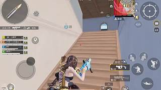 娱乐又菜又爱玩