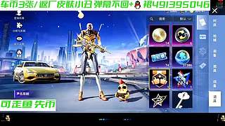 车币返厂皮肤来