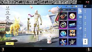 【购买入口车币返厂皮肤