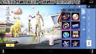 【购买入口车币返厂皮肤